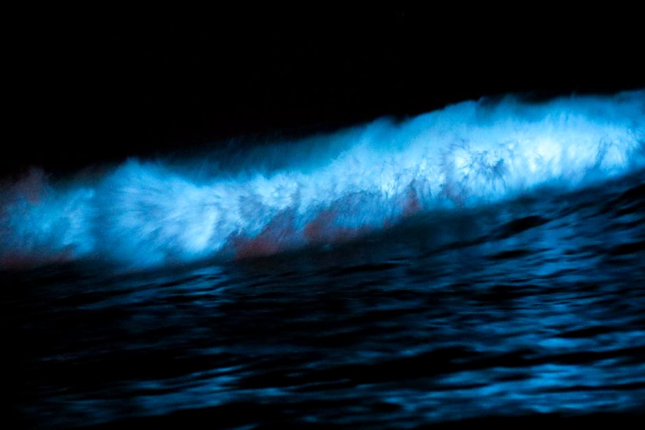 Blue bioluminescent light glowing along dark ocean waves at night.